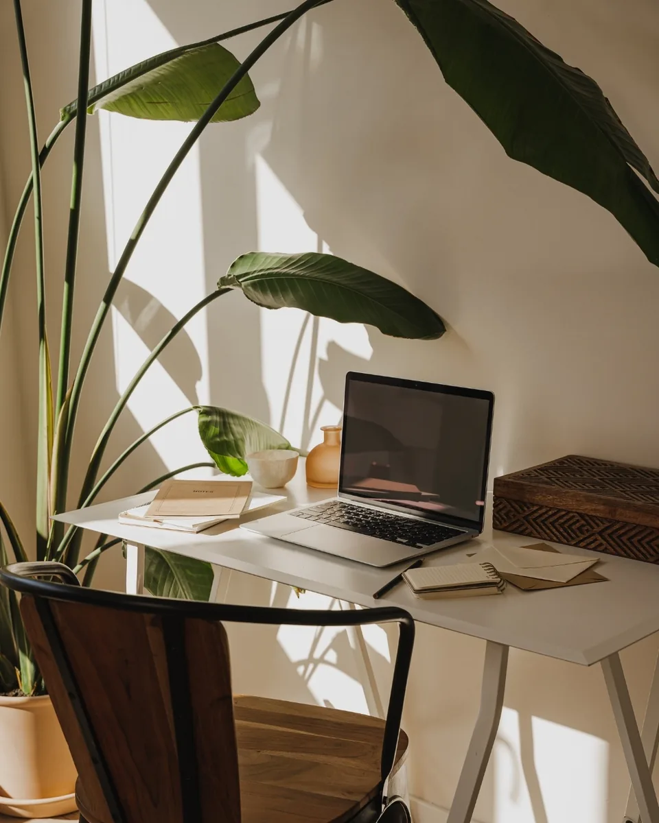 Heller Arbeitsplatz mit Laptop und Grünpflanze, Sinnbild für individuelles Webdesign in Fulda für soloselbstständige Unternehmerinnen